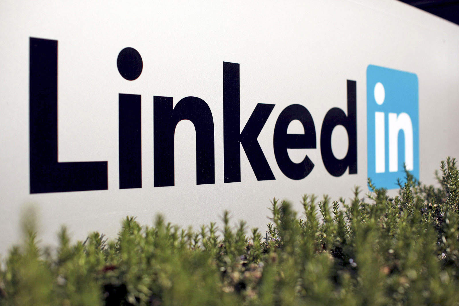 photo of LinkedIn would like to add autoplay ads to your professional network image