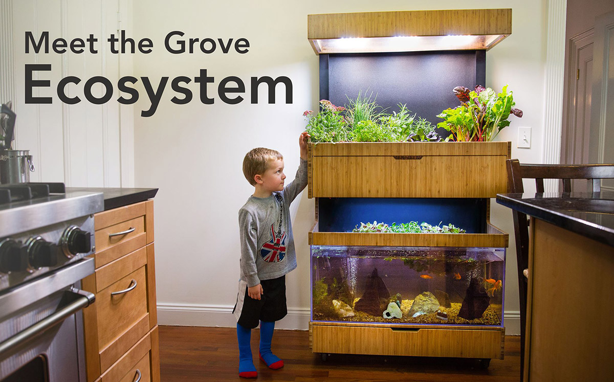 Grove grows your veggies indoors using LED lights and fish ...