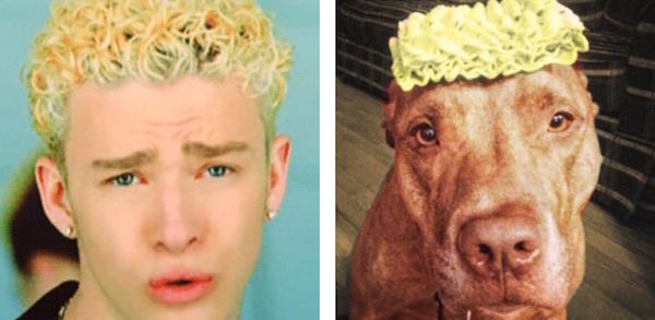 Thanks To This Twitter Account You Can Now See What Your Dog Lookalike Is