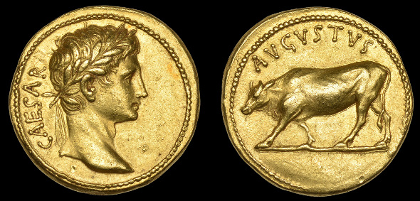 aureus.jpg