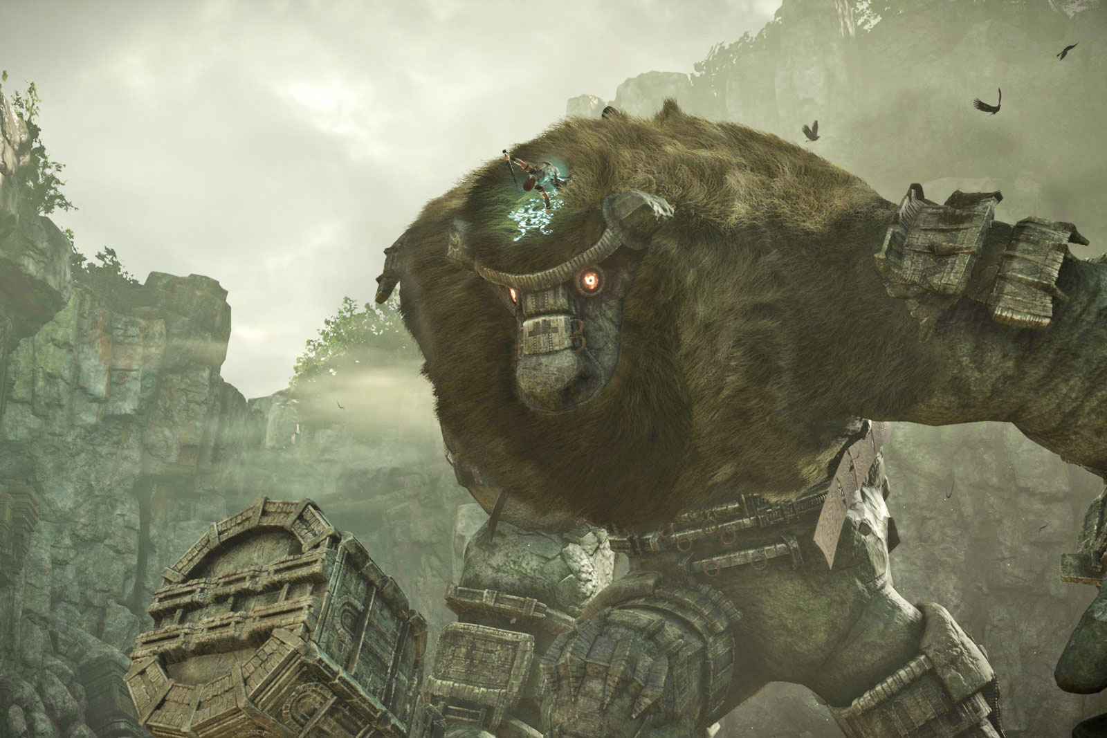 shadow-of-the-colossus-ps4-ed.jpg