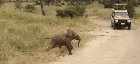 excuse+me,+coming+through.gif