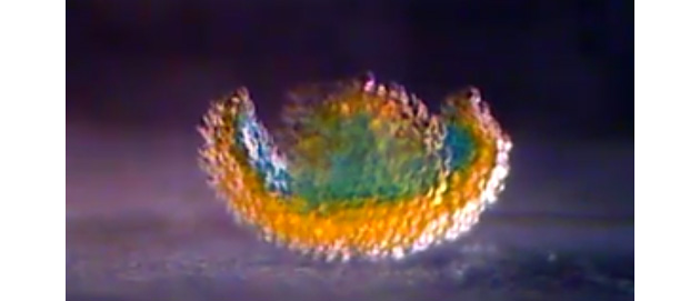 3D printed water droplets behaving like organic tissue