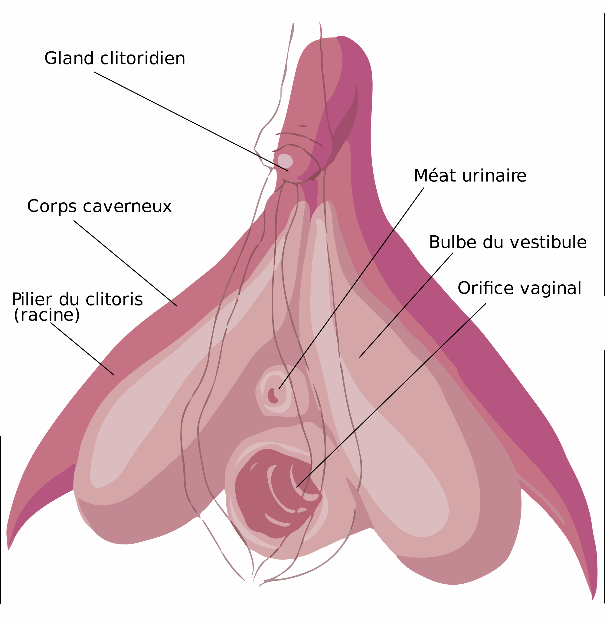 How To Lick Clitoris 117
