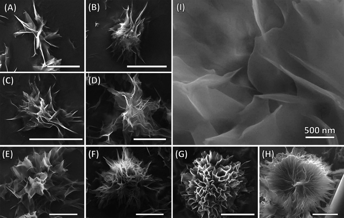 photo of 10-micron-wide flowers can bloom just like the real thing image