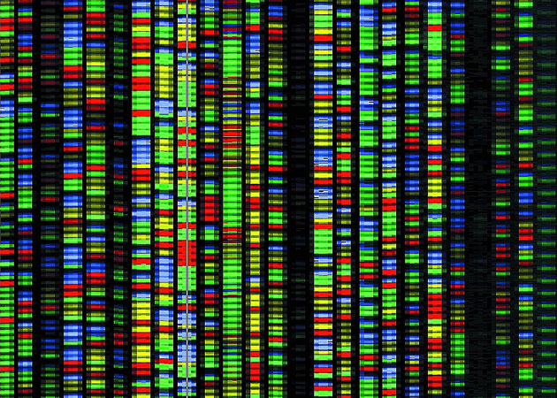 photo of Human gene sequencing gets an official yardstick image