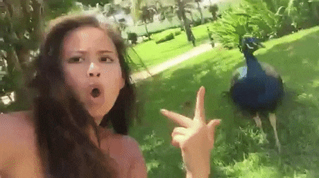 The 32 Funniest GIFs Of All Time - Page 29