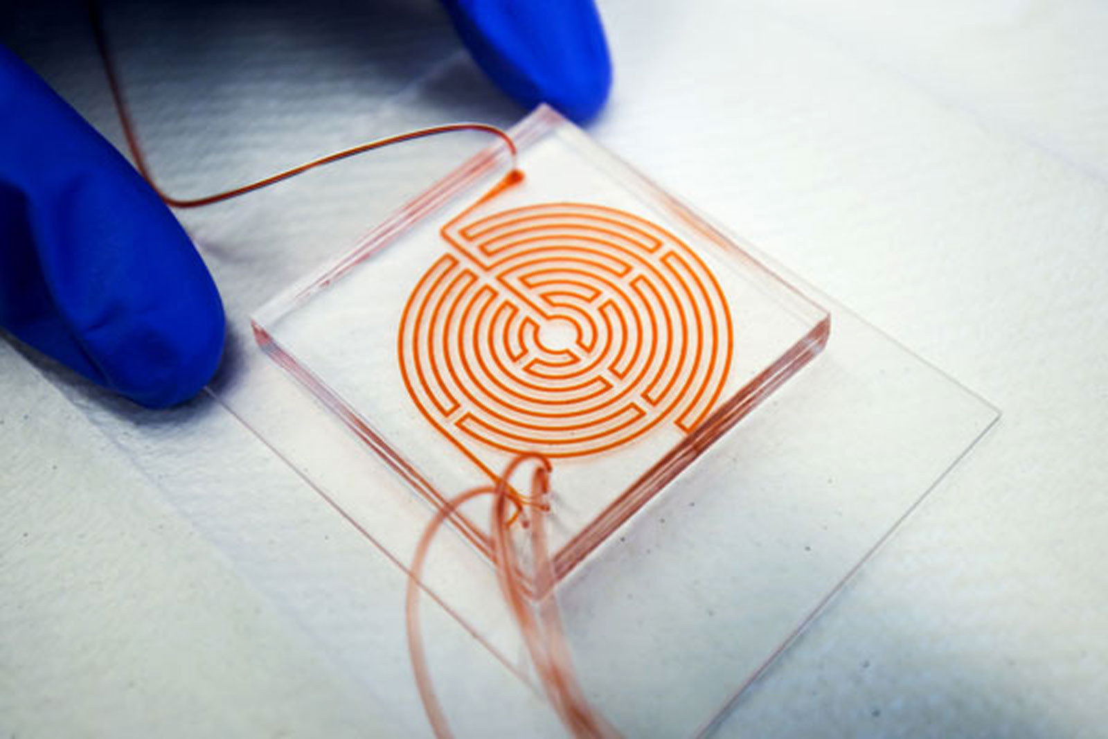photo of Maze-like chip helps spot aggressive cancer cells image