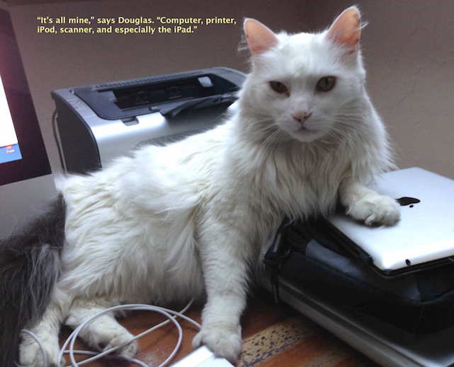 photo of Caturday: Douglas is very possessive of his Apple products image