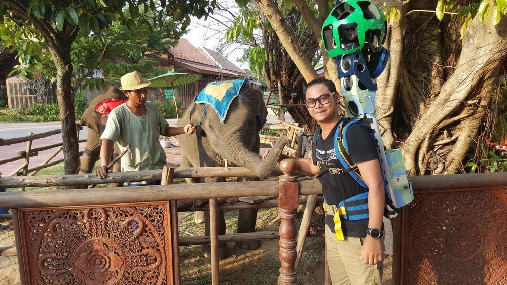 Elephants_at_Thai_Thani_Art___Culture_Village.jpg
