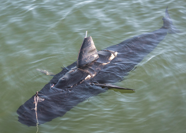 US Navy GhostSwimmer drone