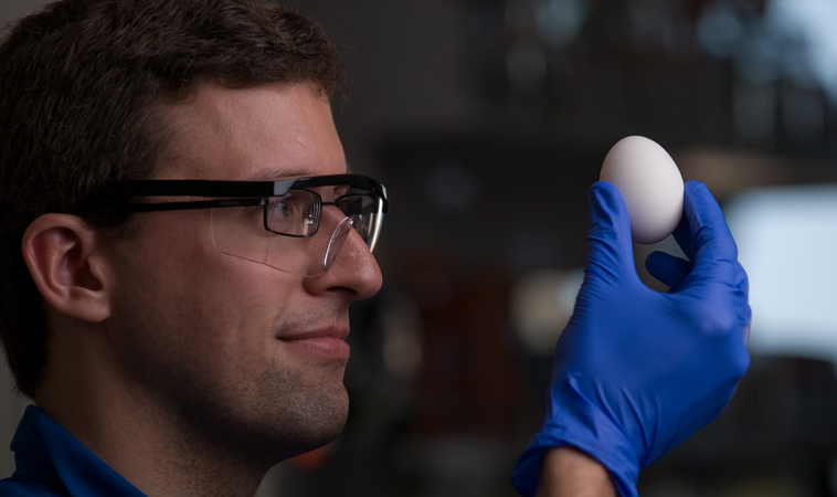 Chemistry major Stephan Kudlacek and professor Greg Weiss have developed a way of unboiling a hen egg.  Steve Zylius/UC Irvine Communications