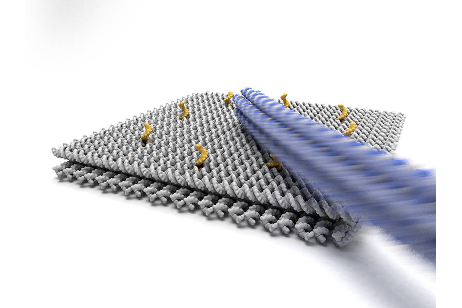 photo of Speedy DNA nanorobot could lead to molecular factories image