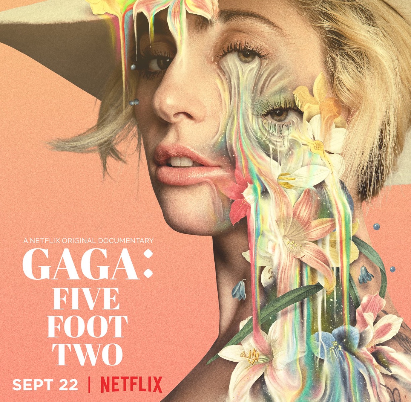 Netflix’s latest documentary chronicles Lady Gaga Electricals Warehouse