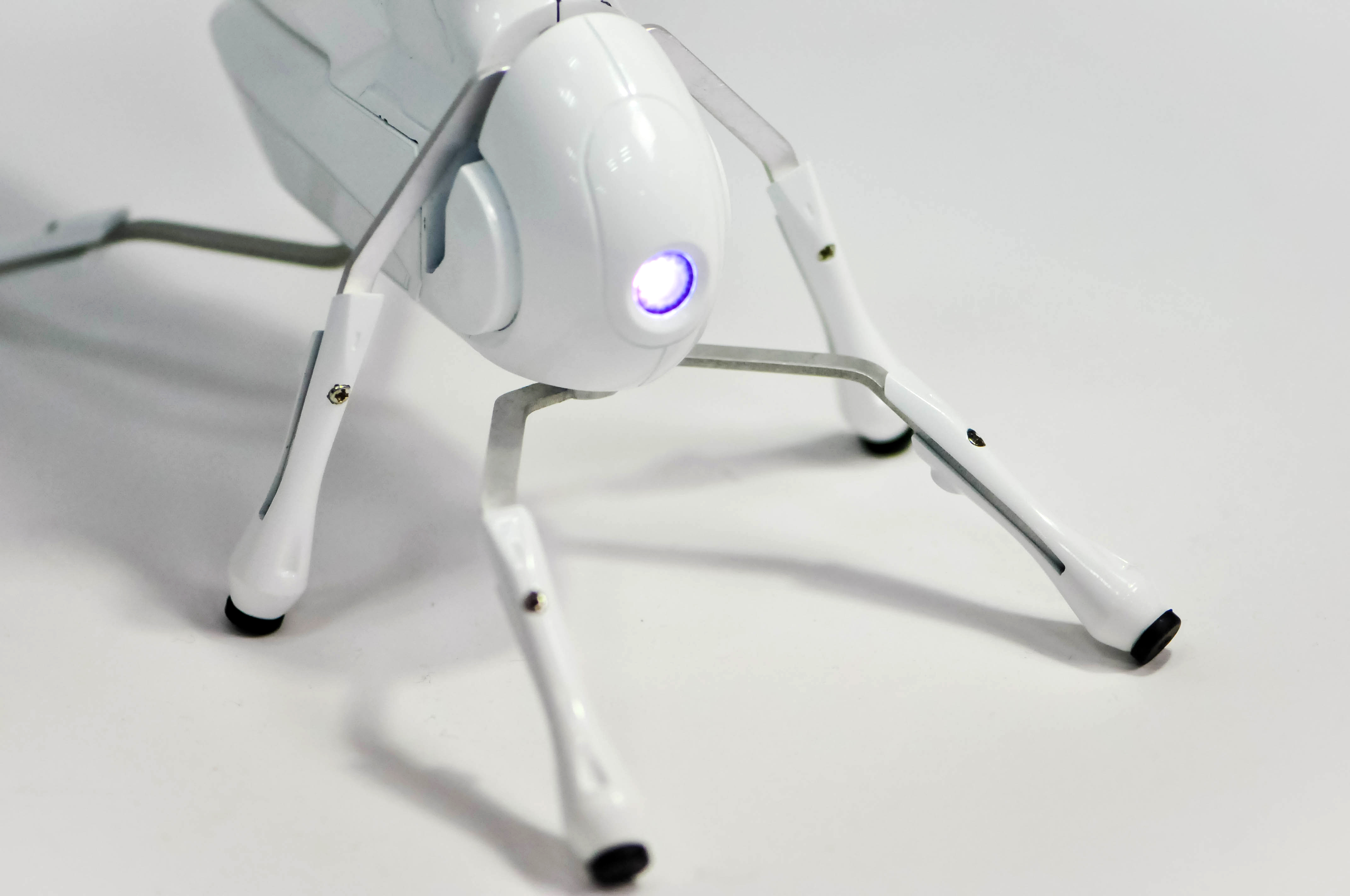 Antbo is a robot insect companion anyone can build