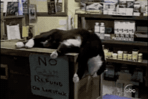 monday.gif