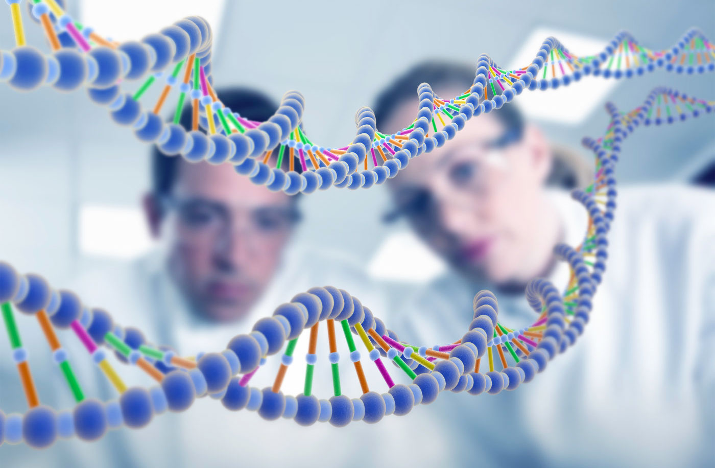 Researchers create mirror image of DNA-copying protein
