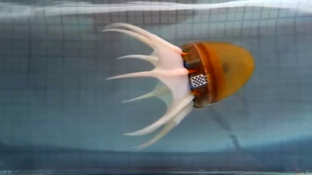 Soft octopus robots are equal parts speedy and graceful