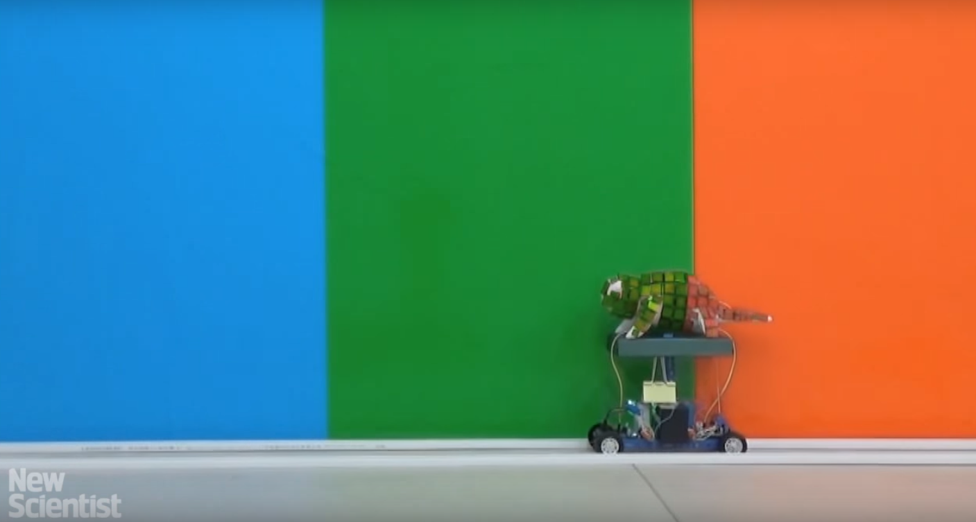 photo of The future of military camouflage may be a cute chameleon robot image