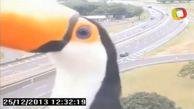 toucan-sam.jpg