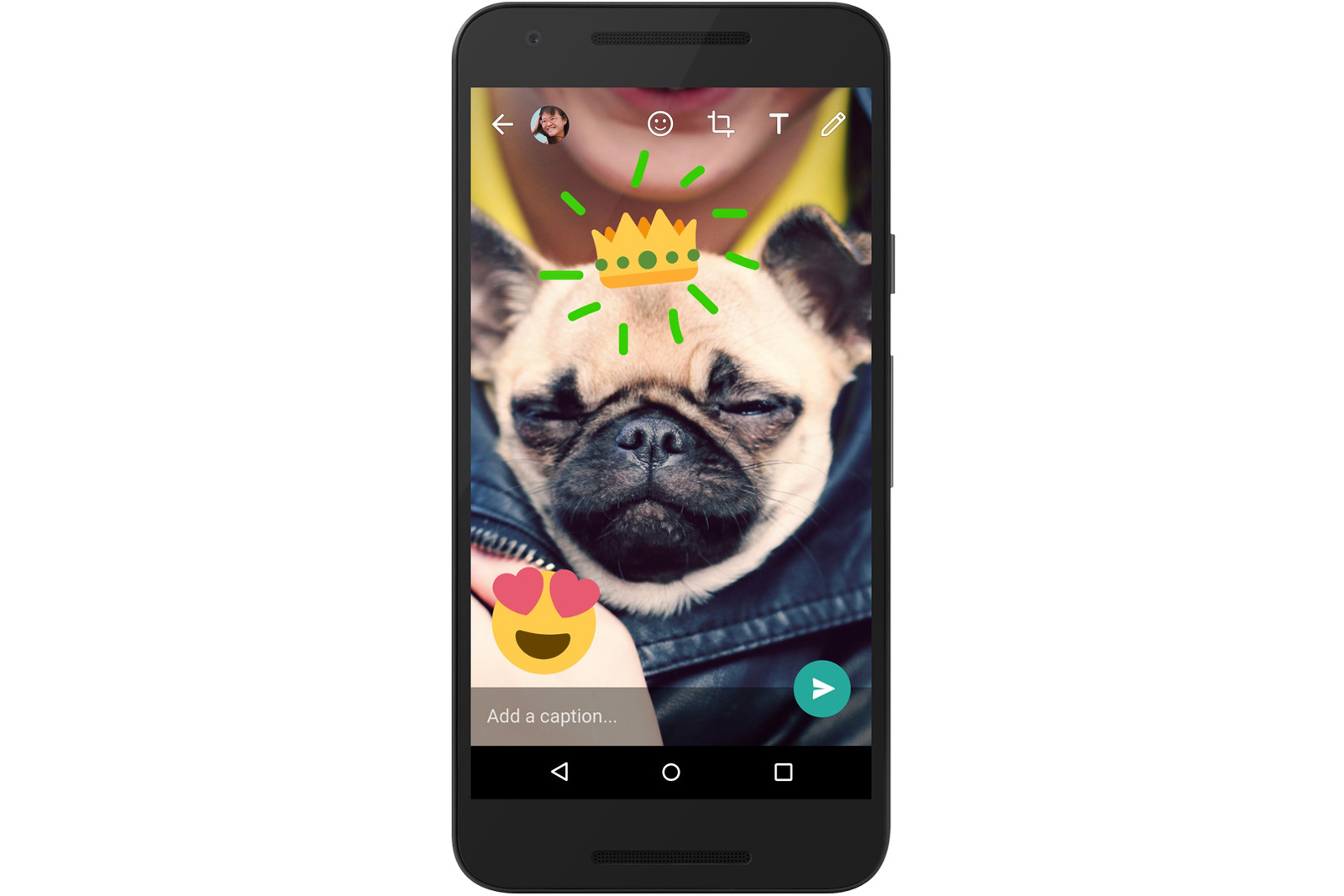 WhatsApp lets you doodle on photos and videos