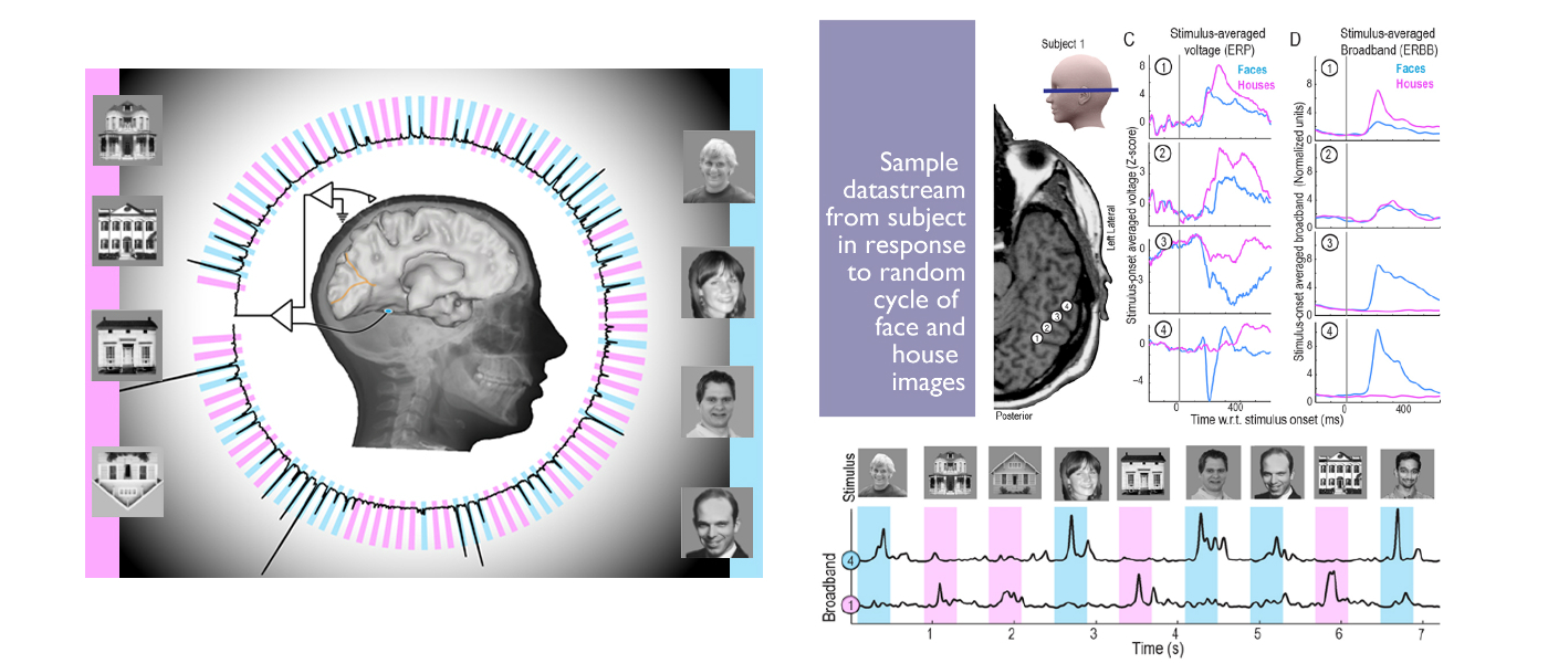 Scientists predict human thought in real time, nearly every time