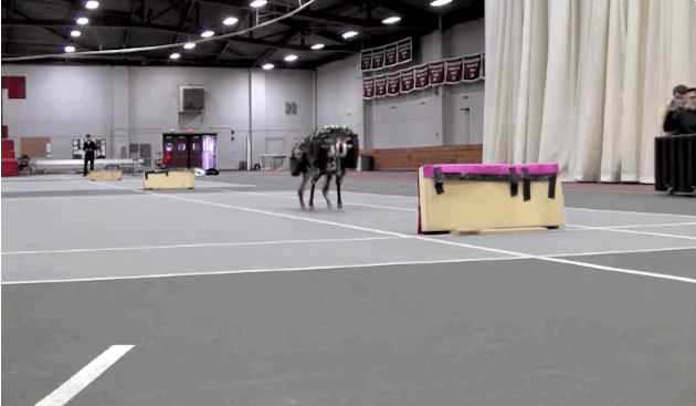 Oh no: MIT's Cheetah robot can jump over hurdles while running