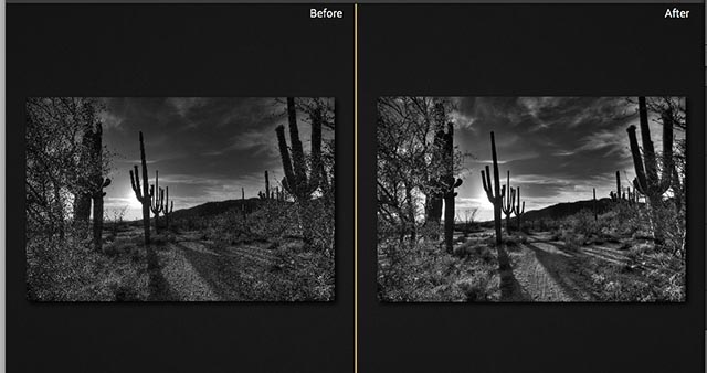 photo of Tonality for Mac is a powerful black and white image editor image