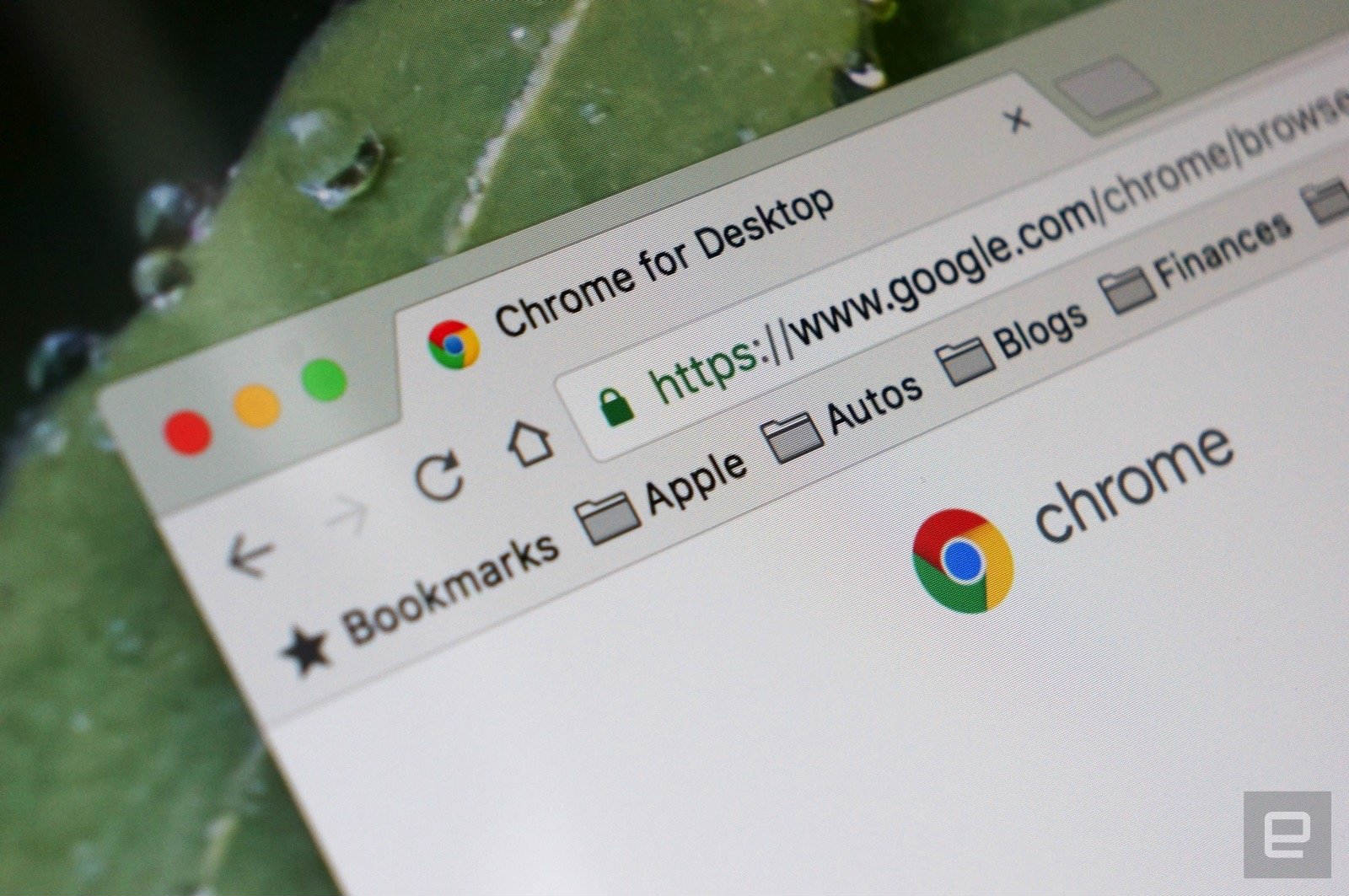 photo of Chrome for business isolates websites for added security image