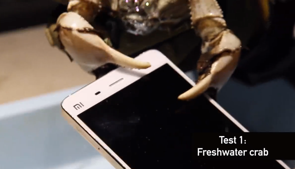 Xiaomi Mi4, prueba de resistencia ante cangrejos y langostas