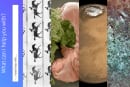 クマムシは地球滅亡後も生き残る･DNAに動画を記録再生･AI弁護士､米英の法律問題に対応 #egjp 週末版88