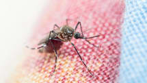 蚊の繁殖場所探しにドローンとスマホ活用、タンザニアでマラリア蔓延防止に効果発揮