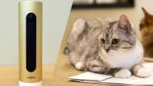 動物検知機能でペットも見守り。Netatmoの監視カメラWelcomeが7月に無償アップデート