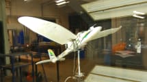鳥のように着陸する飛行機型ドローン、可変翼と機械学習AIで意図的な失速を制御(動画)