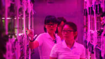 200日間惑星滞在シミュレーション｢Lunar Palace 365｣北京で開始｡植物で酸素生成､限られた資源で生活