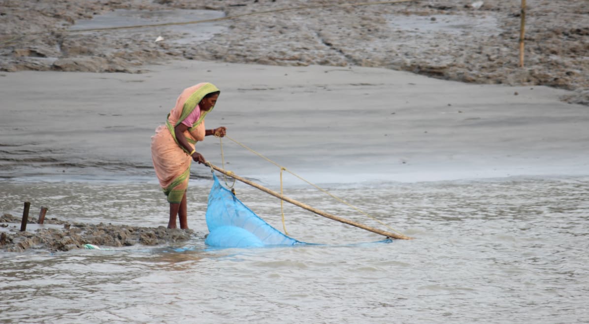 A fishing woman in the Sundarbans