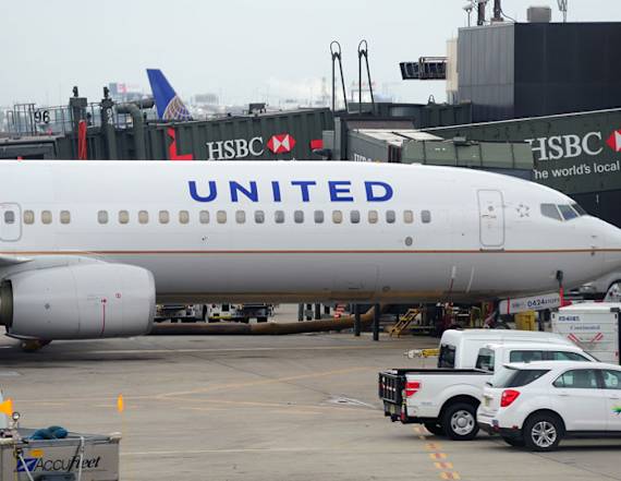 United domestic flights grounded due to 'IT issue'