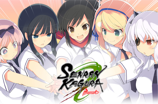 Review: Senran Kagura Burst Re:Newal (Sony PlayStation 4) – Digitally  Downloaded