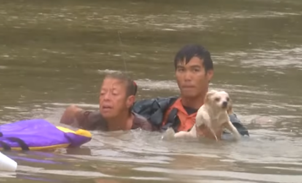 リアルヒーロー 川に水没した車内から女性と犬を救った男性に称賛の嵐 動画 ガジェット通信 Getnews