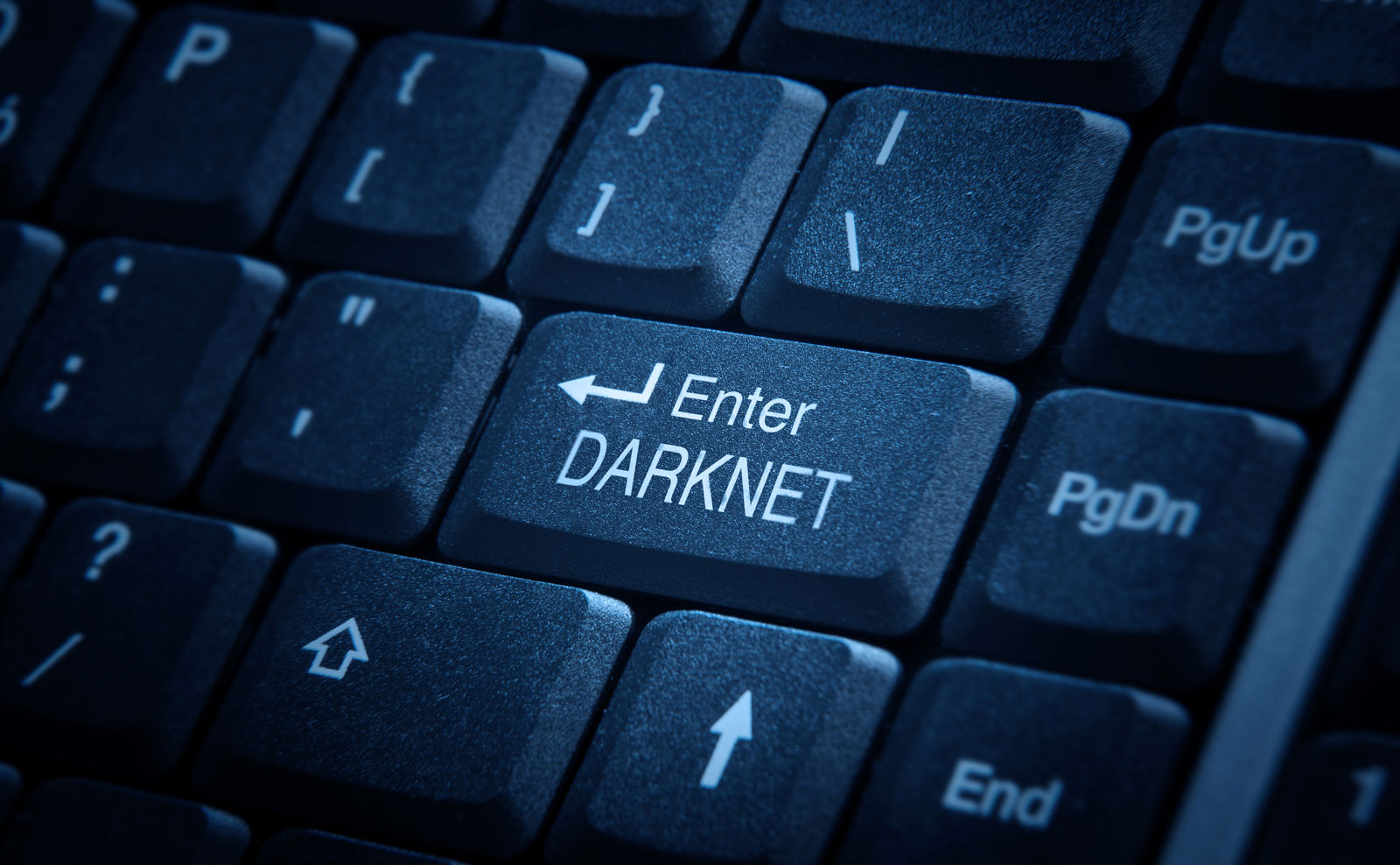 Cartel Market Darknet