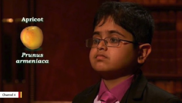 今度は12歳の英国の少年がアインシュタインを超えるiq値をマーク ガジェット通信 Getnews