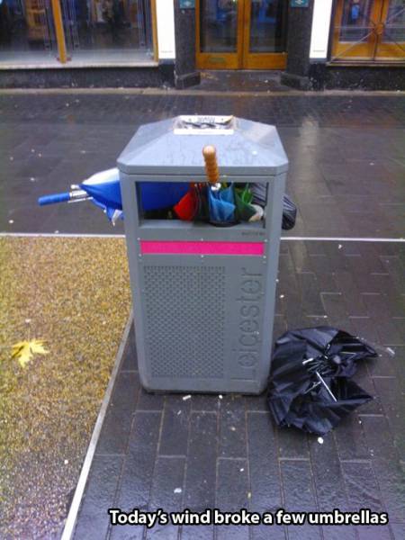 wind13.jpg