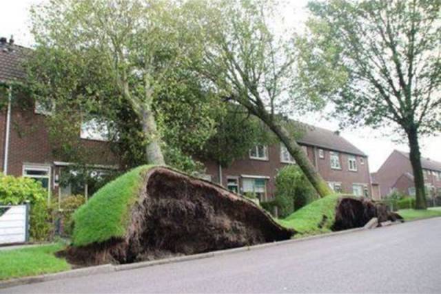 wind3.jpg