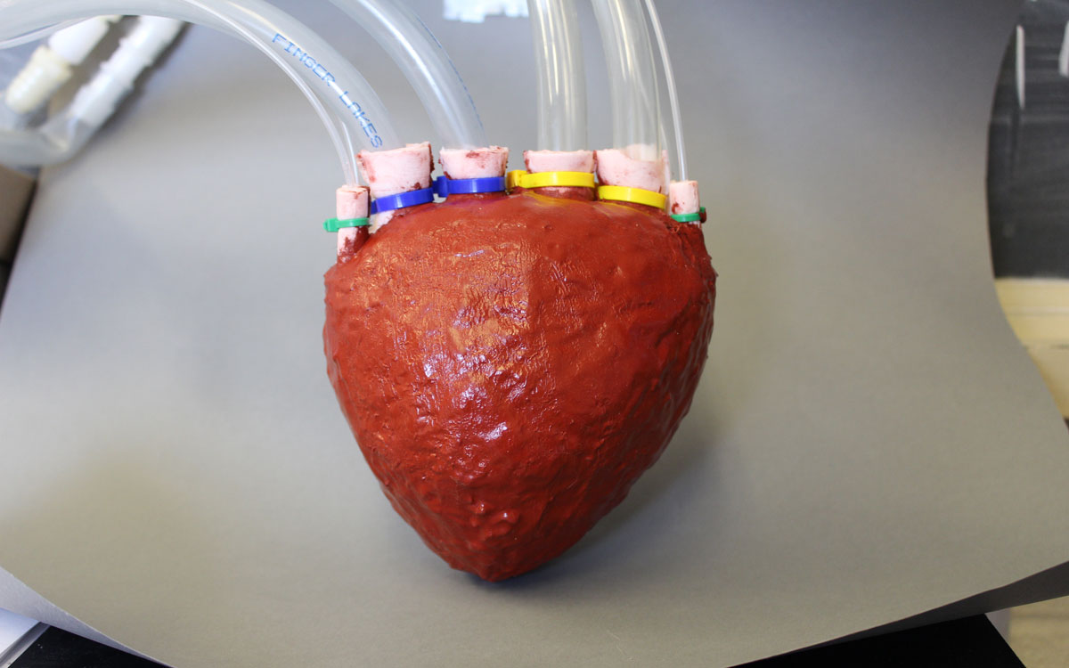 Scientists make an artificial heart out of foam | Engadget