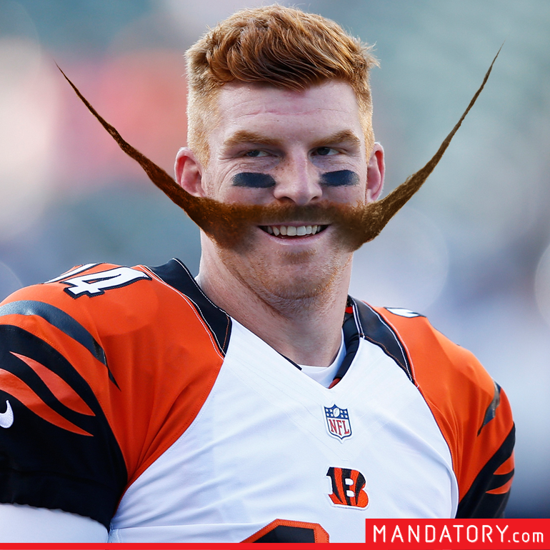 NFL Stars With Completely Ridiculous Mustaches | HuffPost