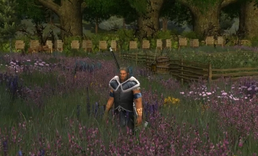 These LotRO Update 15 vids are all about the Beorning