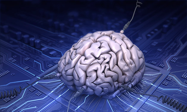 IBM starts testing AI software that mimics the human brain