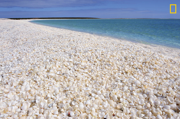 Shell Beach, Shark Bay, Australia