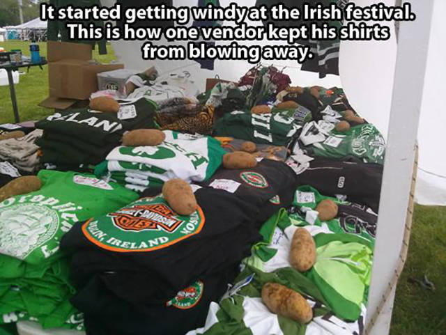 wind2.jpg
