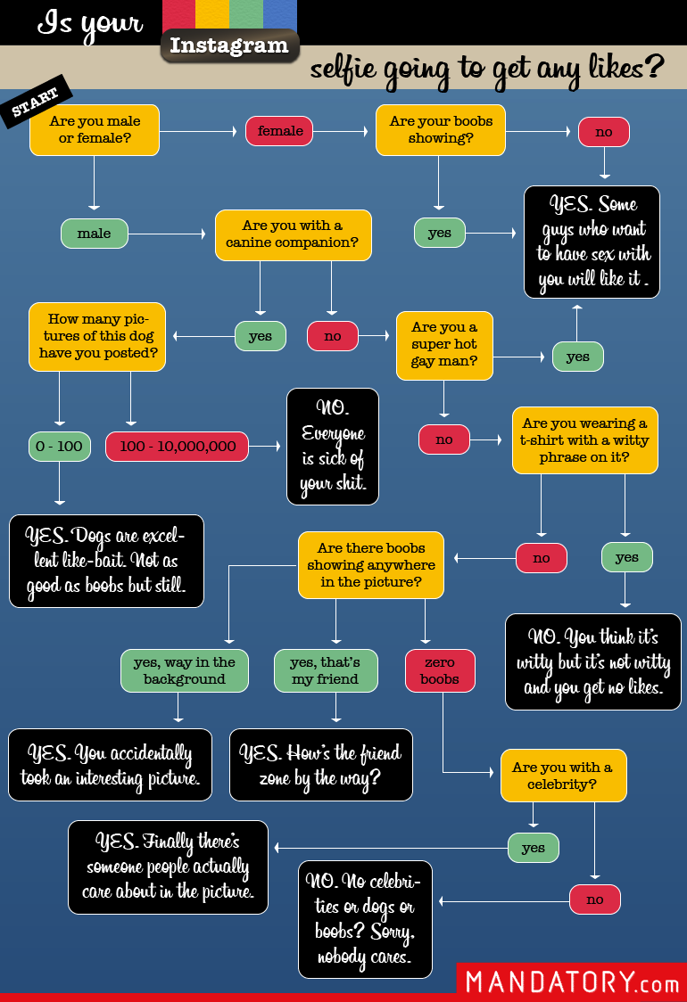 Flowchart: Is Your Instagram Selfie Going to Get Any Likes? - Mandatory